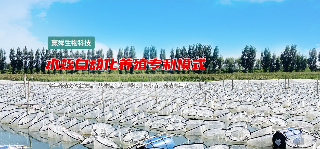 九州酷游(酷游·ku游)