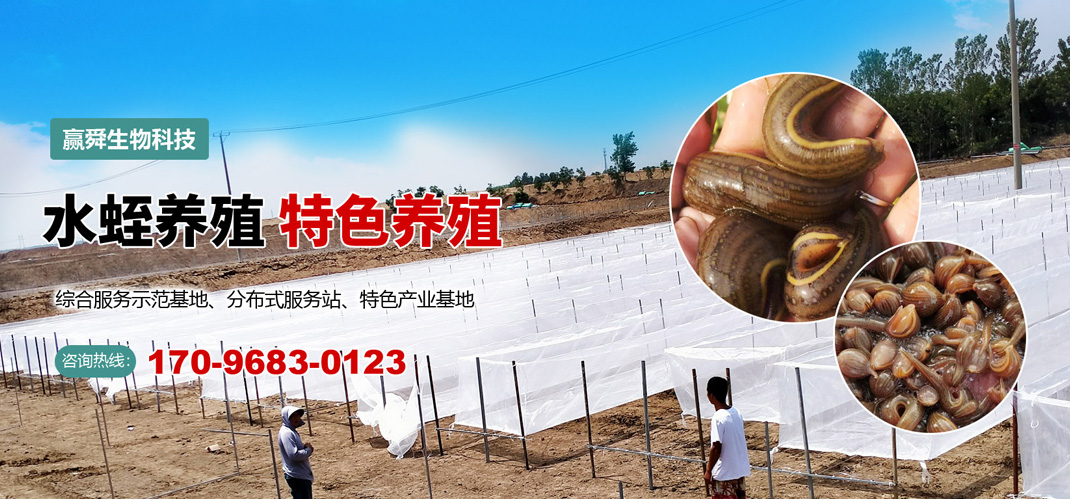 九州酷游(酷游·ku游)