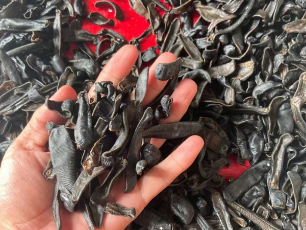 九州酷游(酷游·ku游)制品