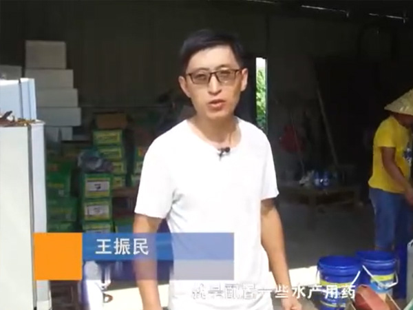 视频展示