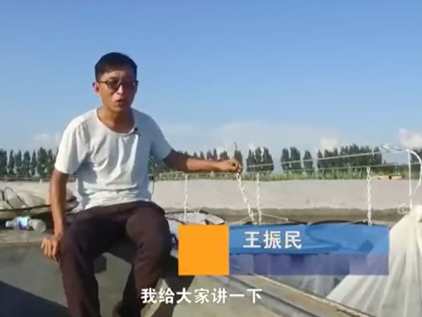视频展示