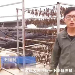 行业近况