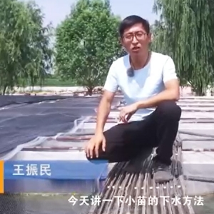 九州酷游(酷游·ku游)幼苗的下水步骤