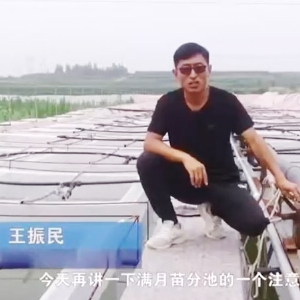 九州酷游(酷游·ku游)满月苗确当苦衷项