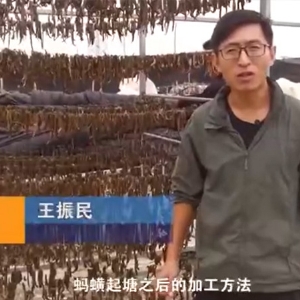九州酷游(酷游·ku游)加工步骤