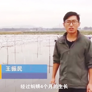 九州酷游(酷游·ku游)收成流程
