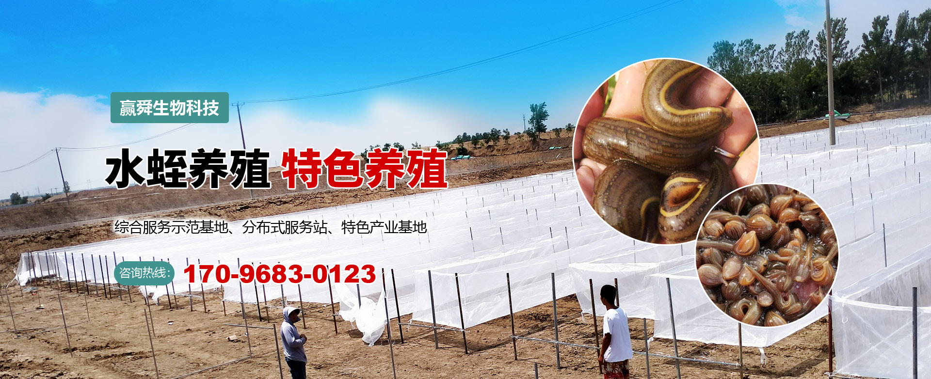 九州酷游(酷游·ku游)