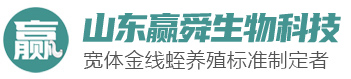 九州酷游(酷游·ku游)