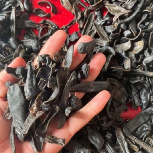 九州酷游(酷游·ku游)制品