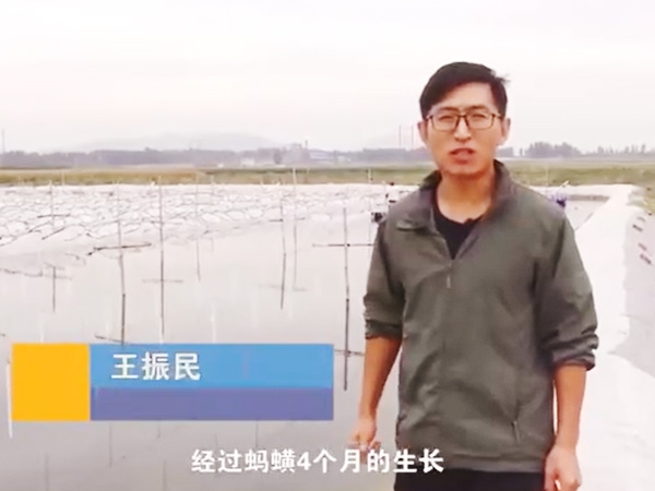 九州酷游(酷游·ku游)收成流程